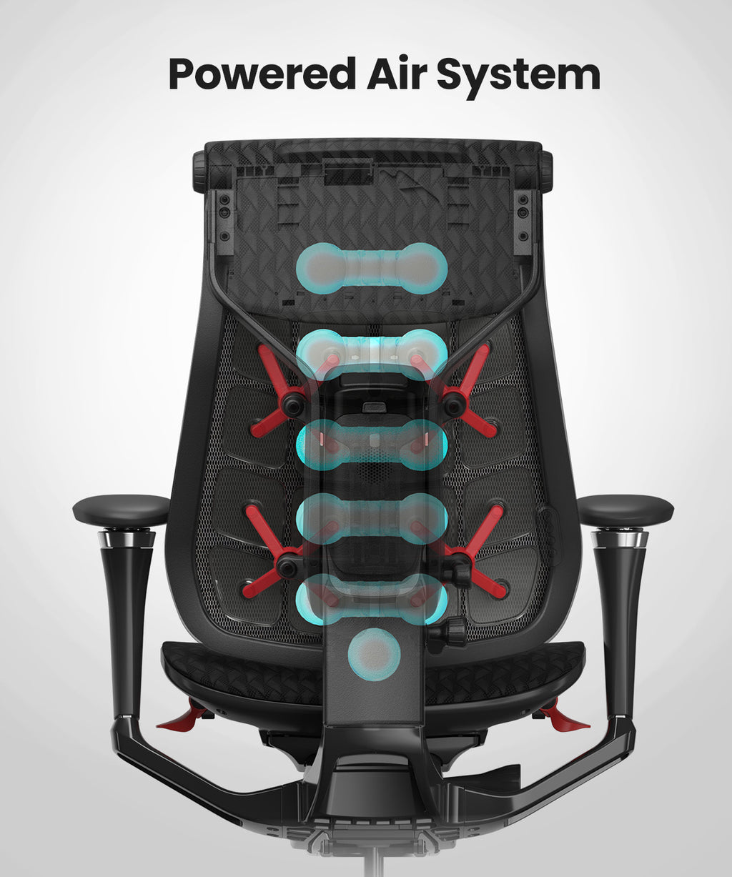 Pre-Order Your Dynamic 2.0 Ergonomic Chair for Just $599