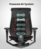 Pre-Order Your Dynamic 2.0 Ergonomic Chair for Just $599