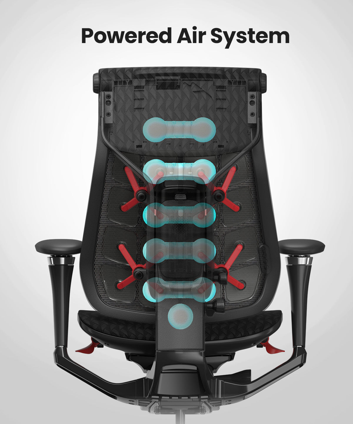 Pre-Order Your Dynamic 2.0 Ergonomic Chair for Just $599