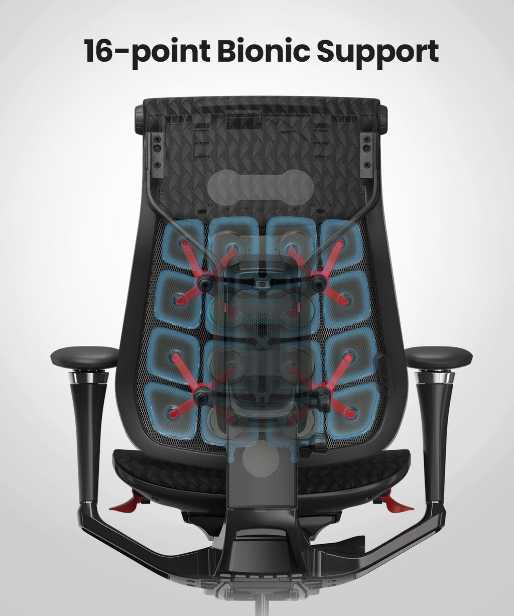 Pre-Order Your Dynamic 2.0 Ergonomic Chair for Just $599