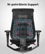 Pre-Order Your Dynamic 2.0 Ergonomic Chair for Just $599