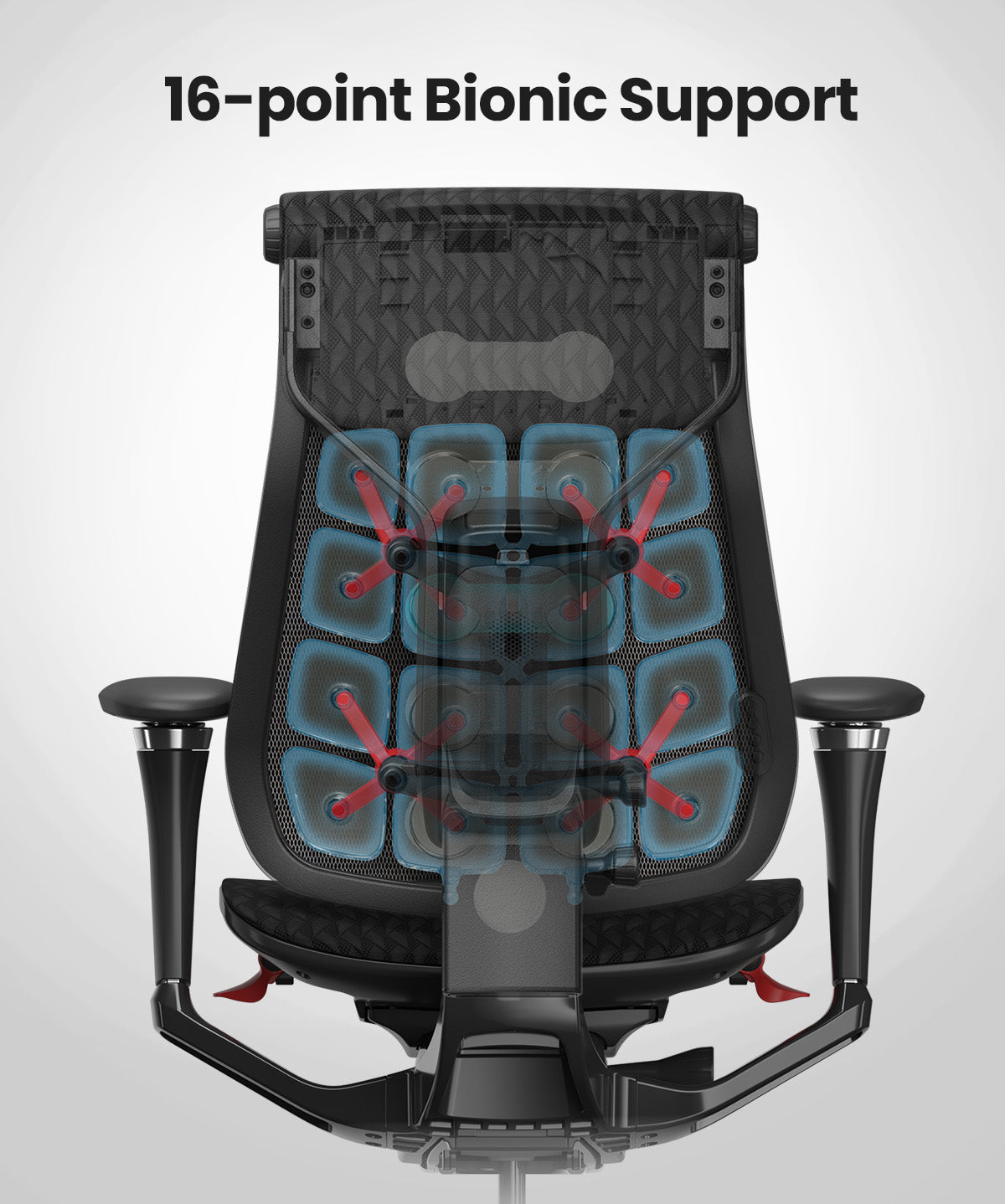 Pre-Order Your Dynamic 2.0 Ergonomic Chair for Just $599