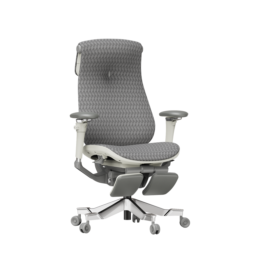Lavenne R9 Ergonomic Office Chair